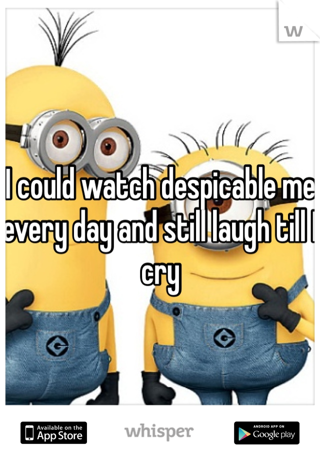 I could watch despicable me every day and still laugh till I cry 
