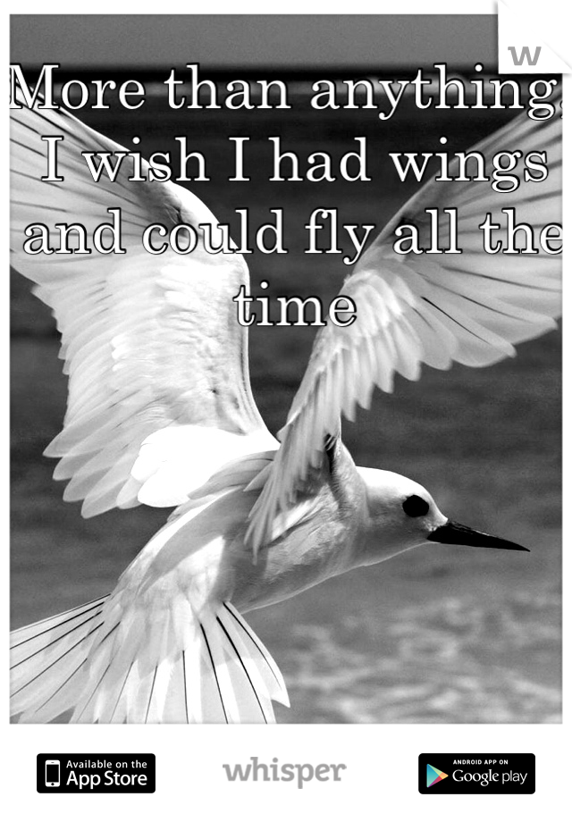More than anything, I wish I had wings and could fly all the time