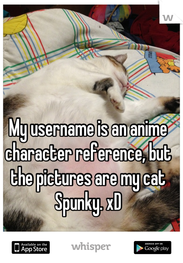 My username is an anime character reference, but the pictures are my cat Spunky. xD