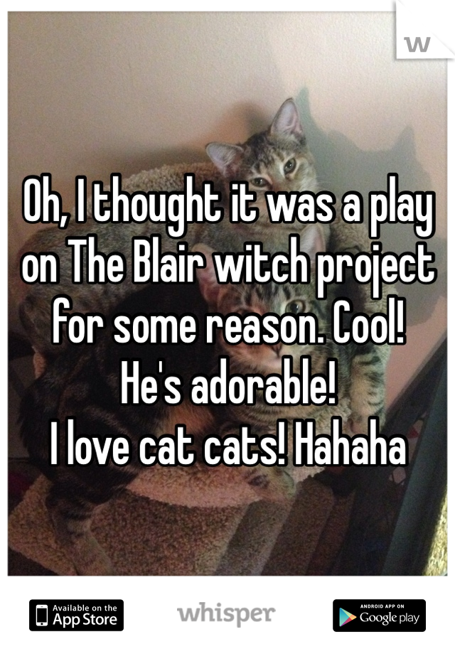 Oh, I thought it was a play on The Blair witch project for some reason. Cool! 
He's adorable! 
I love cat cats! Hahaha