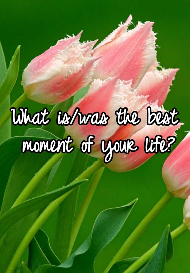 What S The Best Moment Of Your Life So Far