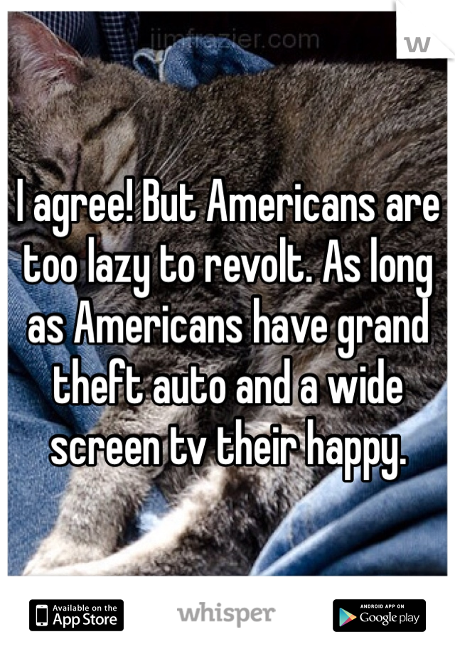 I agree! But Americans are too lazy to revolt. As long as Americans have grand theft auto and a wide screen tv their happy. 