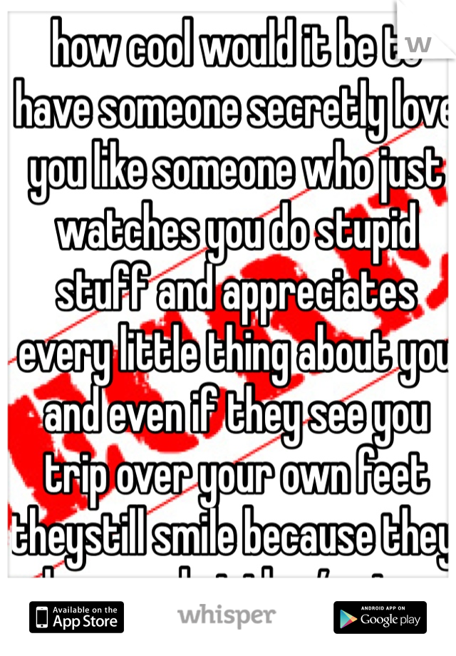 how cool would it be to have someone secretly love you like someone who just watches you do stupid stuff and appreciates every little thing about you and even if they see you trip over your own feet theystill smile because they love you but they’re too afraid to tell you 