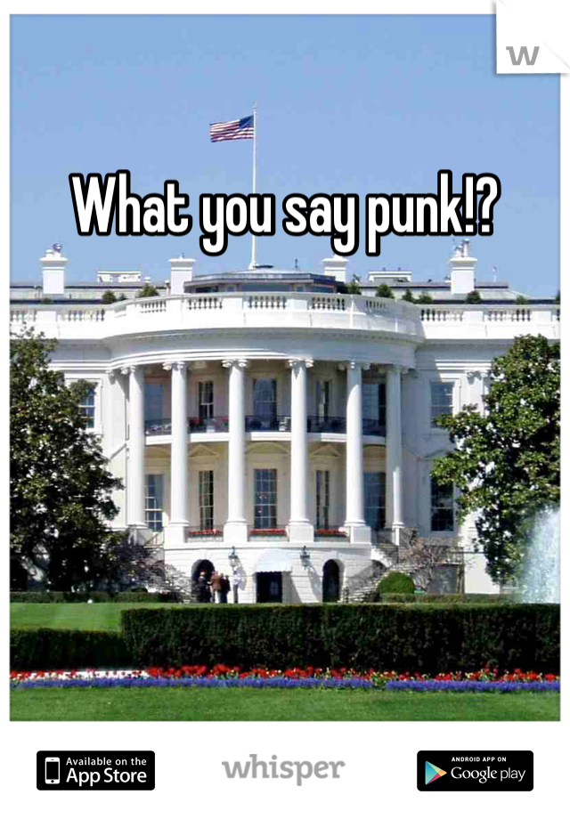 What you say punk!?