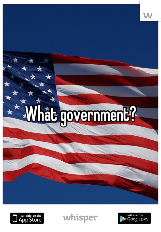 What government?