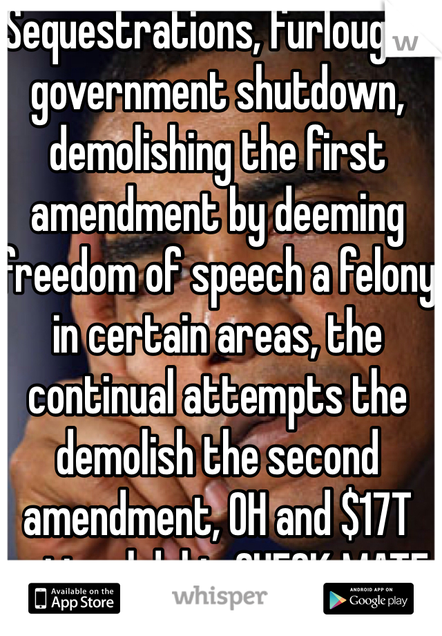 Sequestrations, furloughs, government shutdown, demolishing the first amendment by deeming freedom of speech a felony in certain areas, the continual attempts the demolish the second amendment, OH and $17T national debt. CHECK MATE