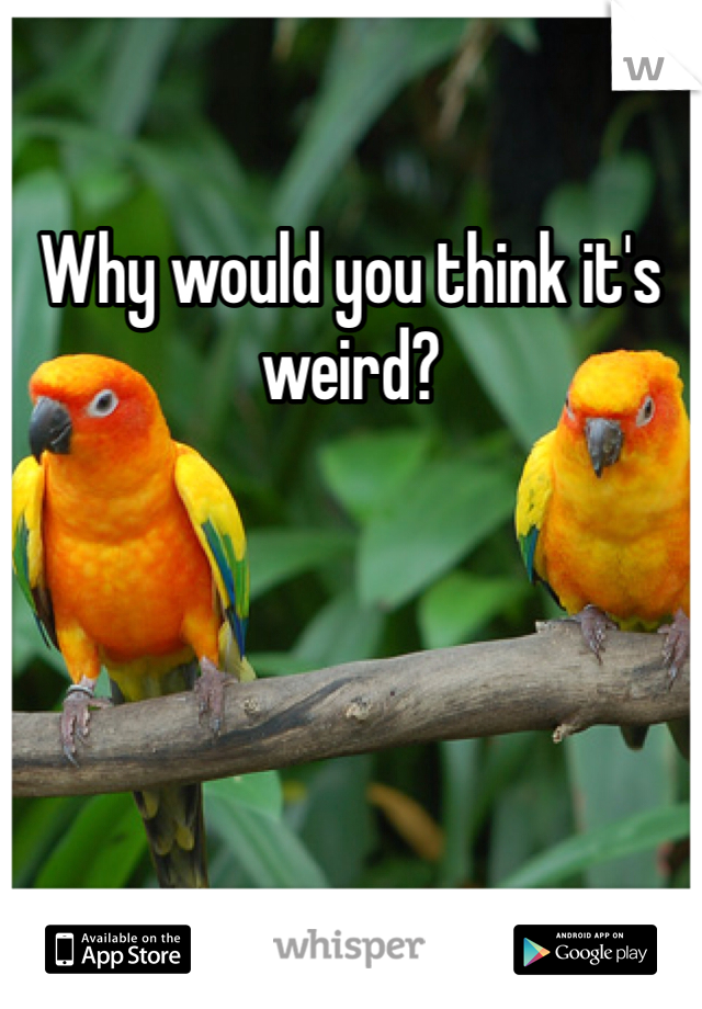 Why would you think it's weird? 