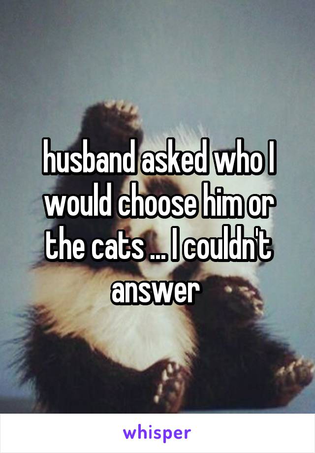 husband asked who I would choose him or the cats ... I couldn't answer 