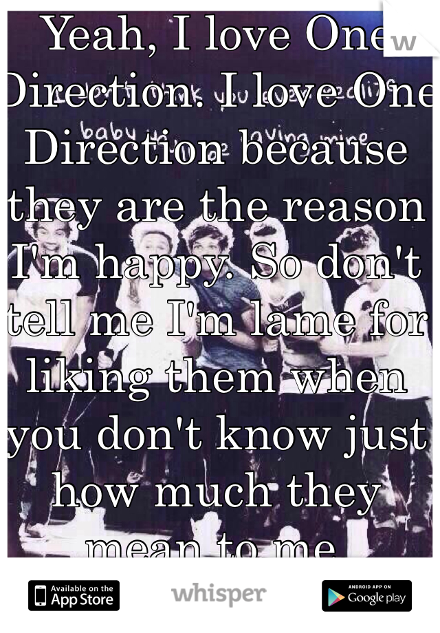 Yeah, I love One Direction. I love One Direction because they are the reason I'm happy. So don't tell me I'm lame for liking them when you don't know just how much they mean to me.
