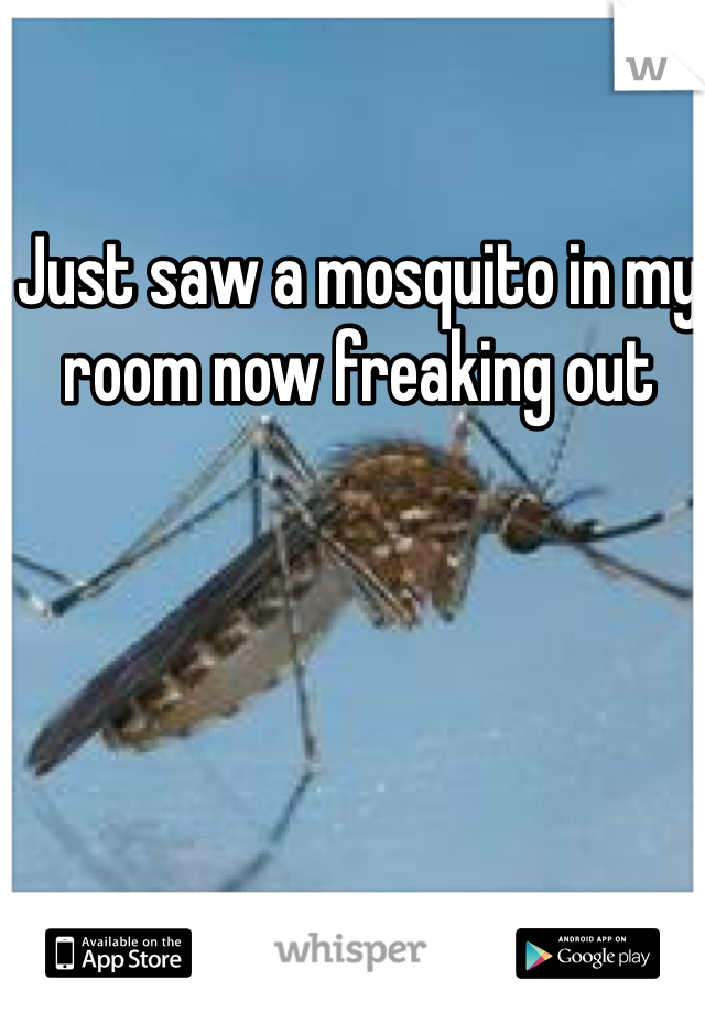 Just saw a mosquito in my room now freaking out 