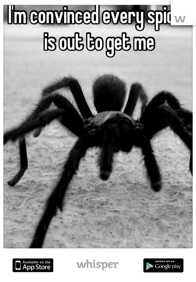 I'm convinced every spider is out to get me