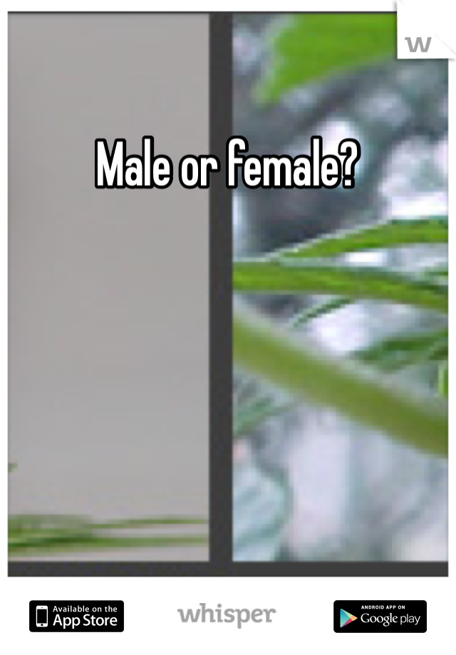 Male or female?