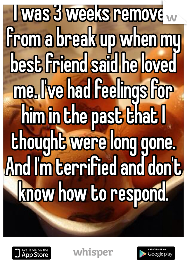 I was 3 weeks removed from a break up when my best friend said he loved me. I've had feelings for him in the past that I thought were long gone. And I'm terrified and don't know how to respond. 