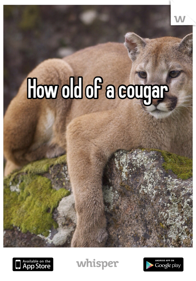 How old of a cougar