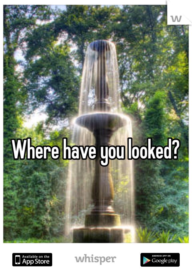 Where have you looked?