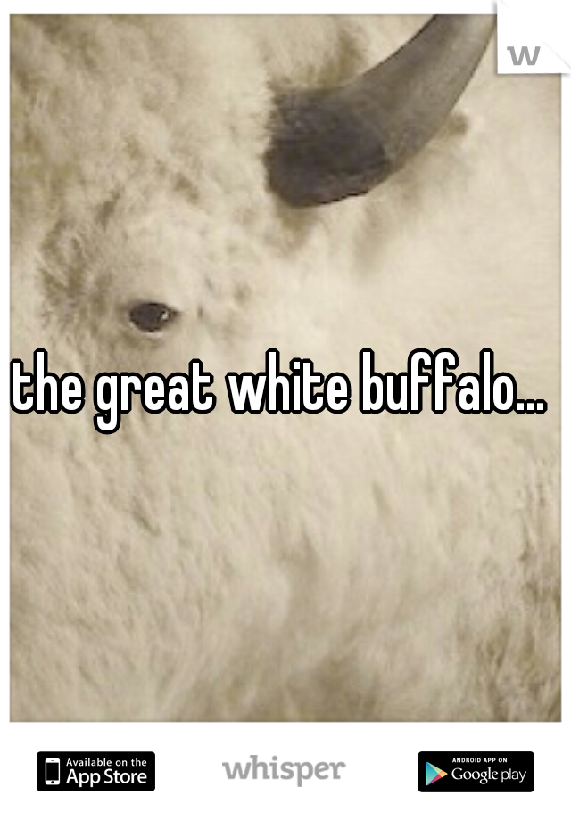 the great white buffalo... 
