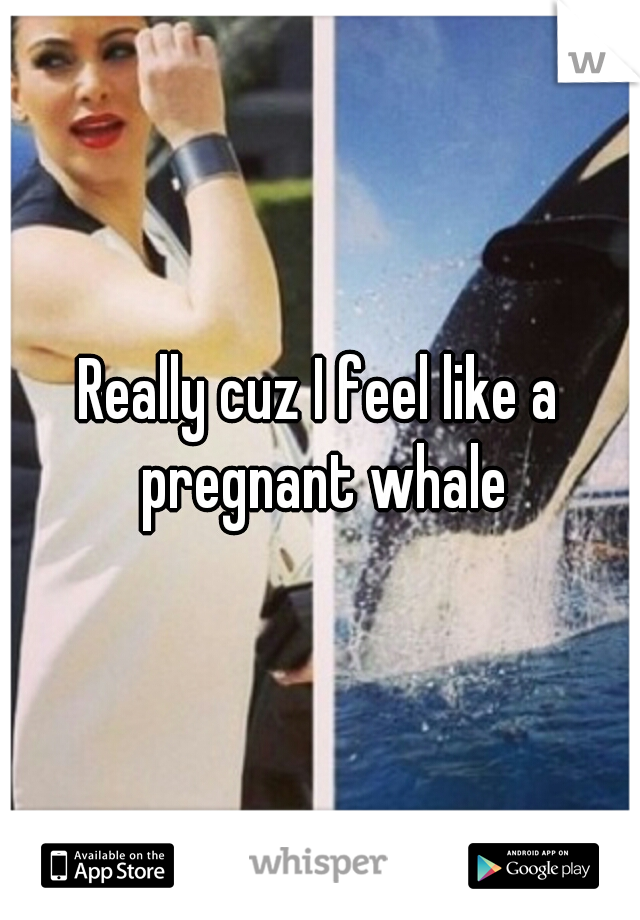 Really cuz I feel like a pregnant whale