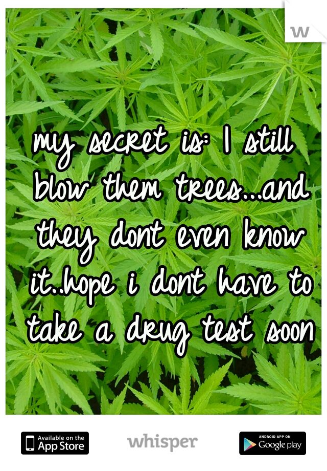 my secret is: I still blow them trees...and they dont even know it..hope i dont have to take a drug test soon