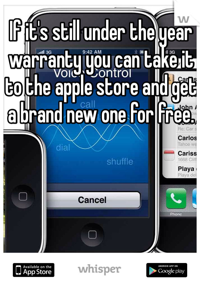 If it's still under the year warranty you can take it to the apple store and get a brand new one for free. 