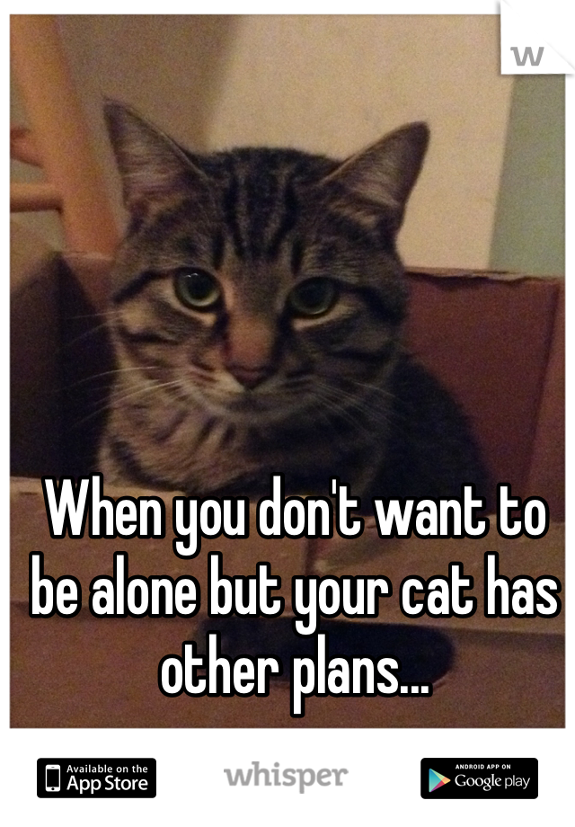When you don't want to be alone but your cat has other plans... 