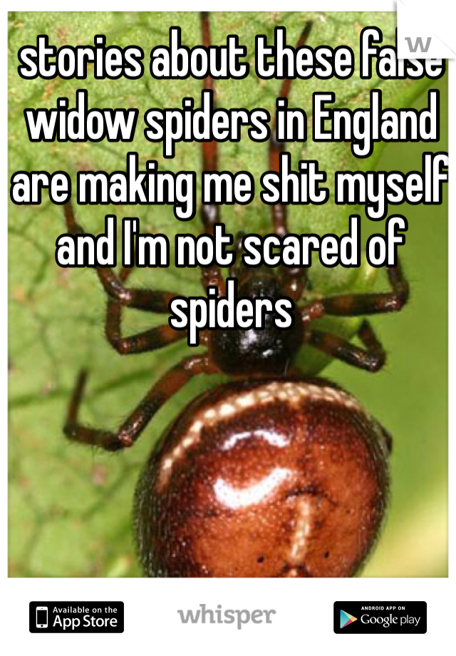 stories about these false widow spiders in England are making me shit myself and I'm not scared of spiders