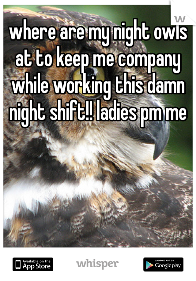 where are my night owls at to keep me company while working this damn night shift!! ladies pm me