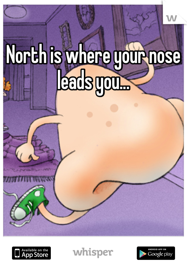 North is where your nose leads you...