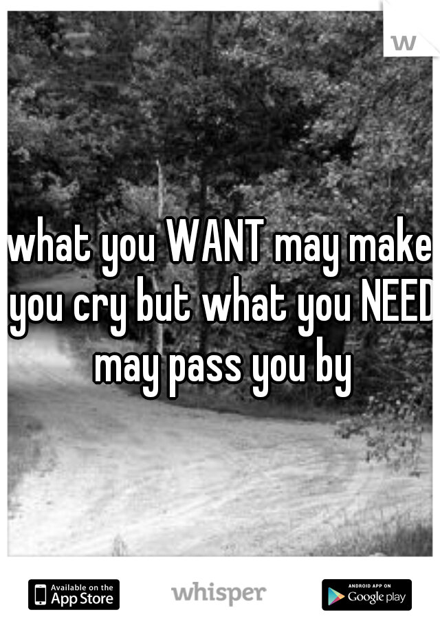 what you WANT may make you cry but what you NEED may pass you by