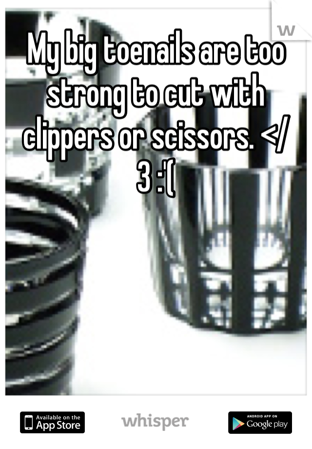 My big toenails are too strong to cut with clippers or scissors. </3 :'( 