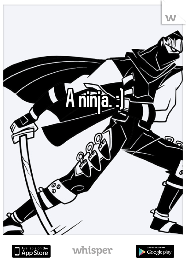 A ninja. :) 