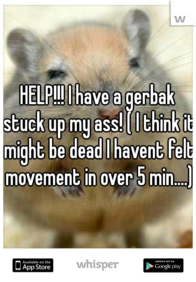 HELP!!! I have a gerbak stuck up my ass! ( I think it might be dead I havent felt movement in over 5 min....)