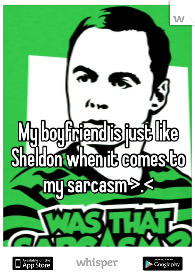 My boyfriend is just like Sheldon when it comes to my sarcasm >.<