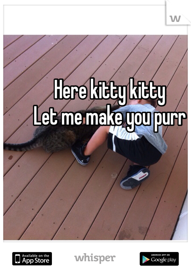 Here kitty kitty
Let me make you purr