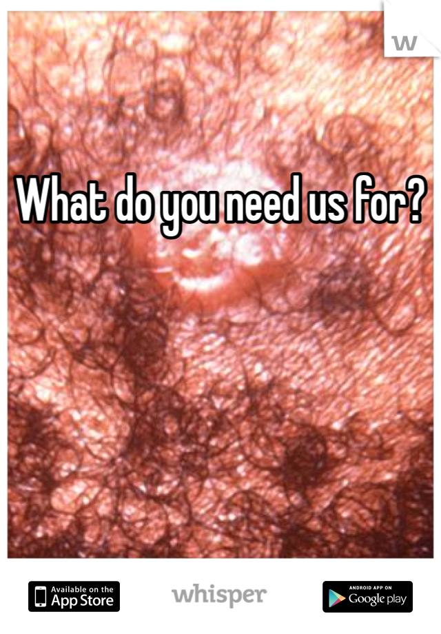 What do you need us for?
