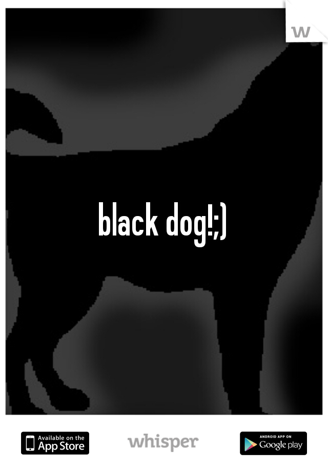 black dog!;)