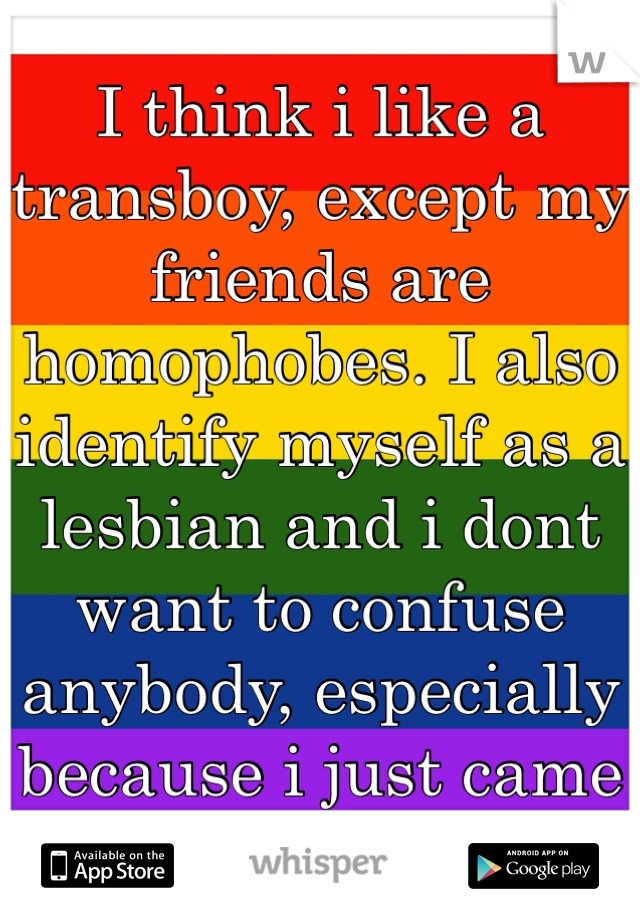 I think i like a transboy, except my friends are homophobes. I also identify myself as a lesbian and i dont want to confuse anybody, especially because i just came out.. 