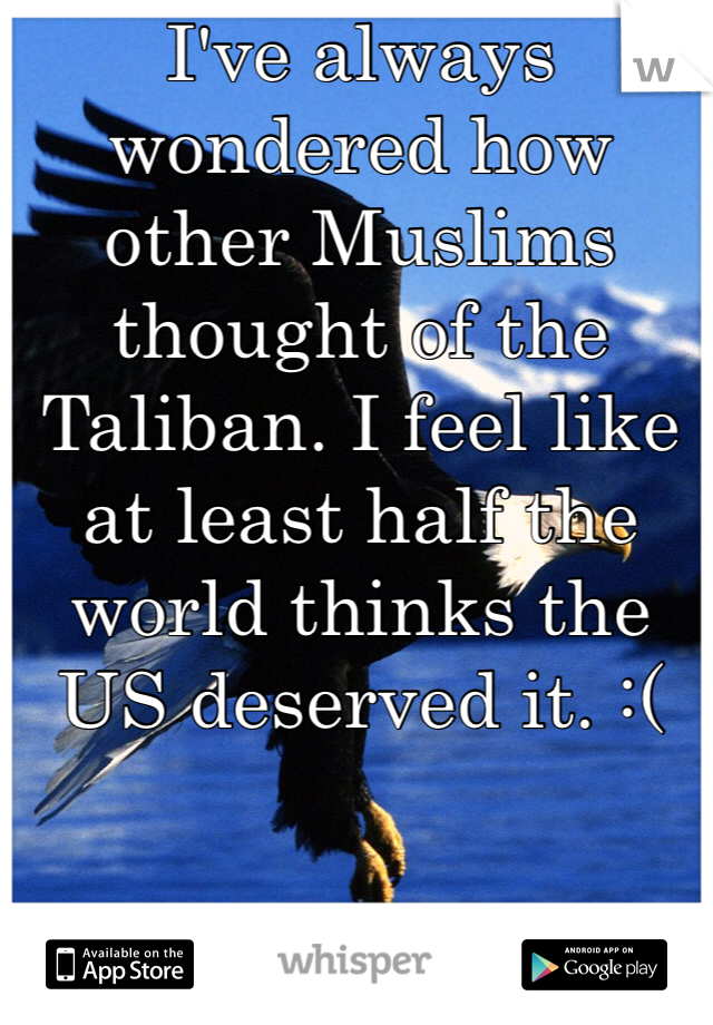 I've always wondered how other Muslims thought of the Taliban. I feel like at least half the world thinks the US deserved it. :( 