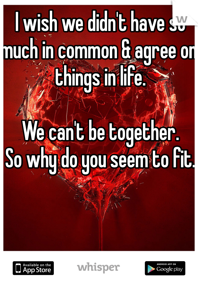 I wish we didn't have so much in common & agree on things in life. 

We can't be together. 
So why do you seem to fit. 