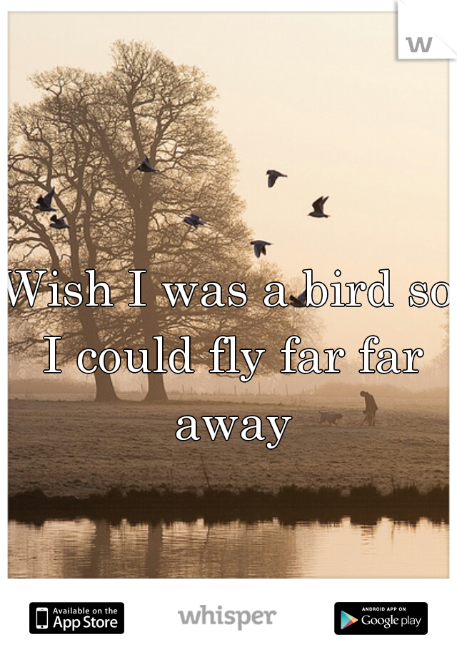 Wish I was a bird so I could fly far far away