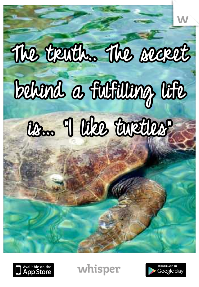 The truth.. The secret behind a fulfilling life is... "I like turtles"