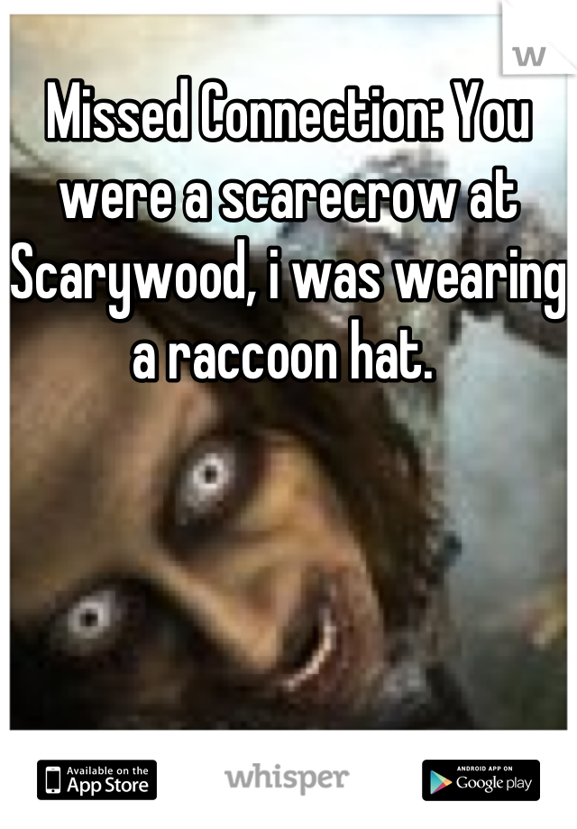 Missed Connection: You were a scarecrow at Scarywood, i was wearing a raccoon hat. 