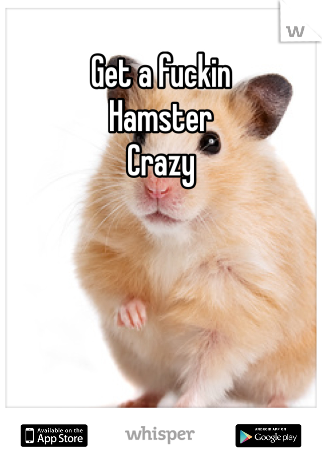 Get a fuckin 
Hamster 
Crazy 