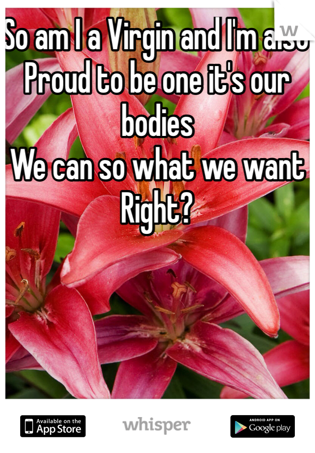 So am I a Virgin and I'm also 
Proud to be one it's our bodies 
We can so what we want 
Right?
