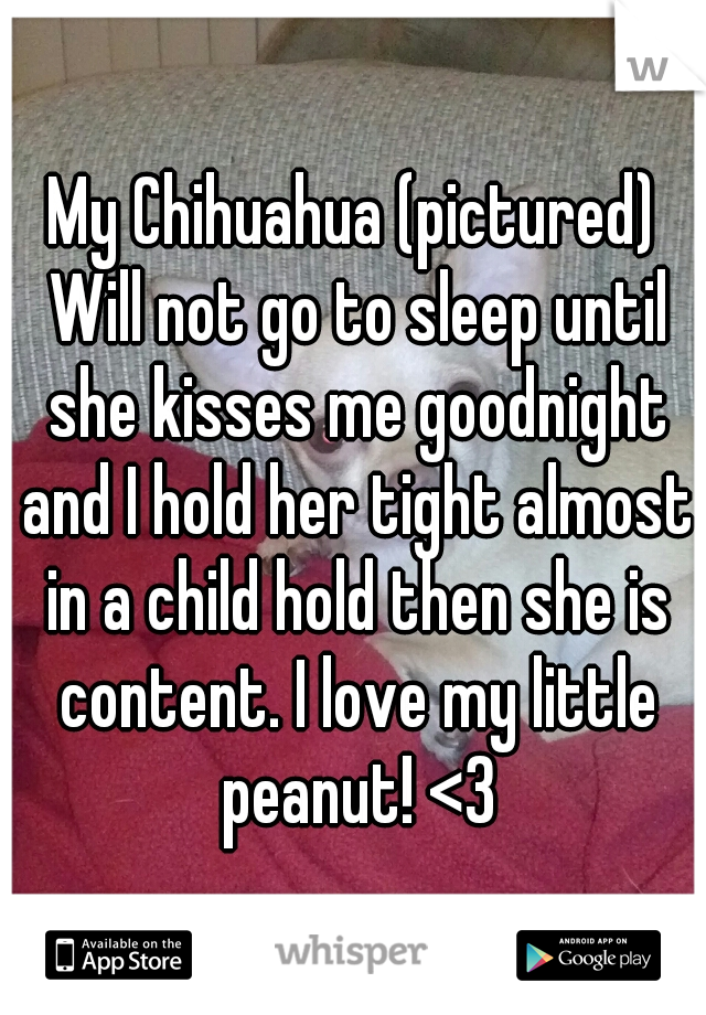 


My Chihuahua (pictured) Will not go to sleep until she kisses me goodnight and I hold her tight almost in a child hold then she is content. I love my little peanut! <3