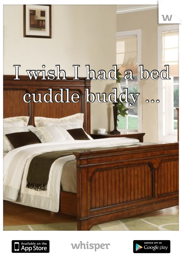 I wish I had a bed cuddle buddy ...