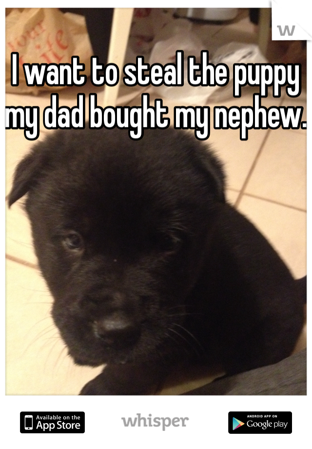 I want to steal the puppy my dad bought my nephew.