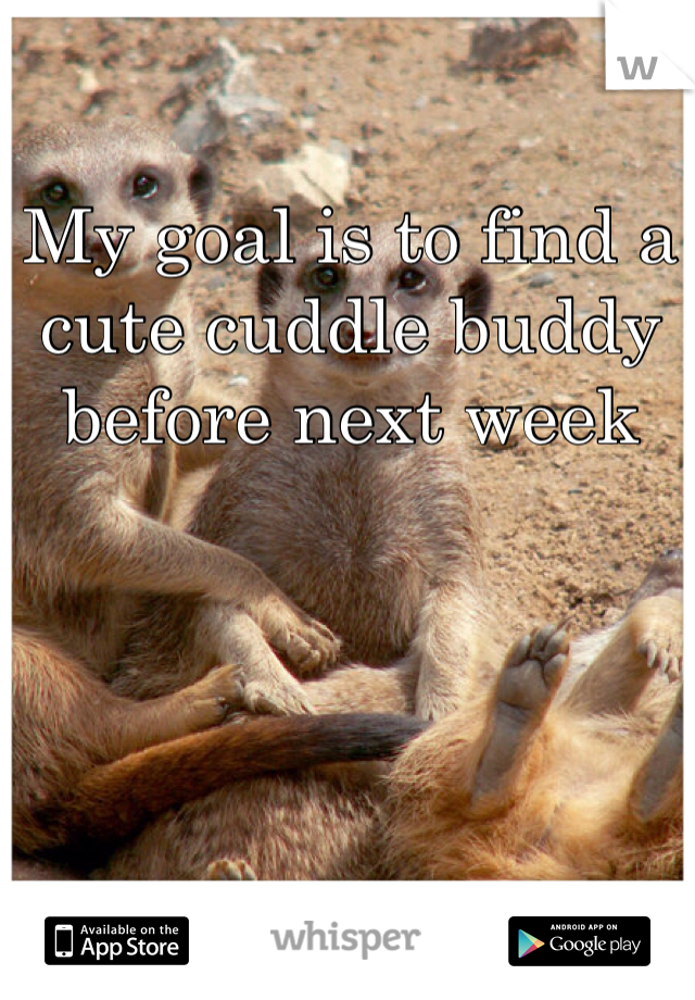 My goal is to find a cute cuddle buddy before next week 
