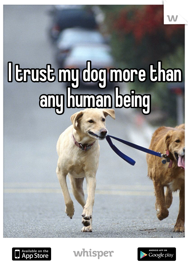 I trust my dog more than any human being