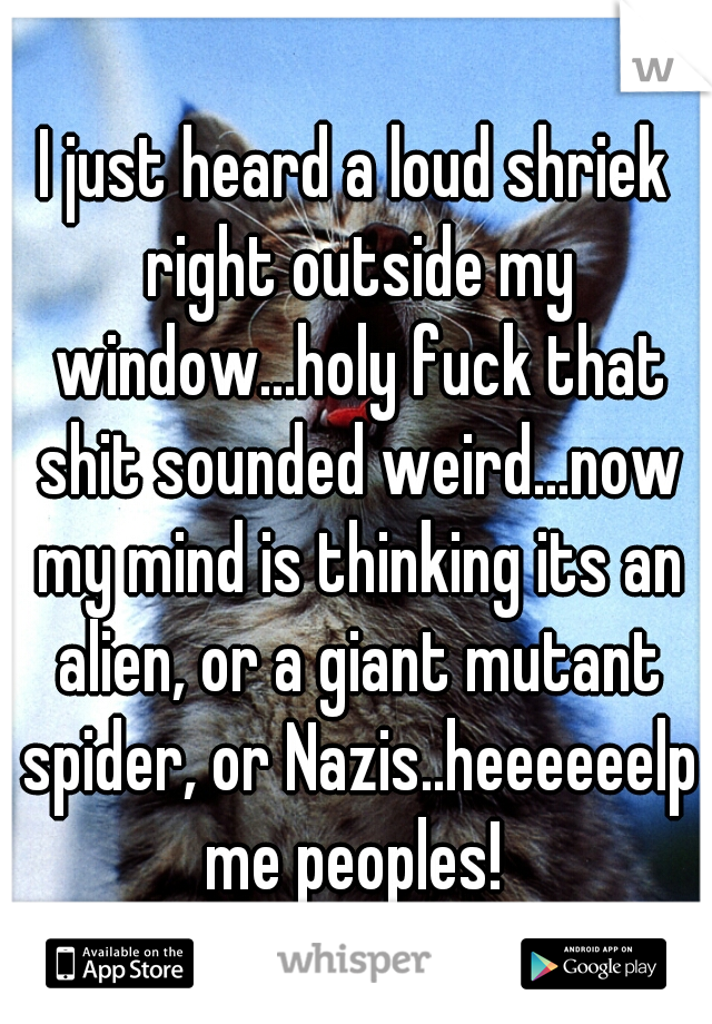 I just heard a loud shriek right outside my window...holy fuck that shit sounded weird...now my mind is thinking its an alien, or a giant mutant spider, or Nazis..heeeeeelp me peoples! 