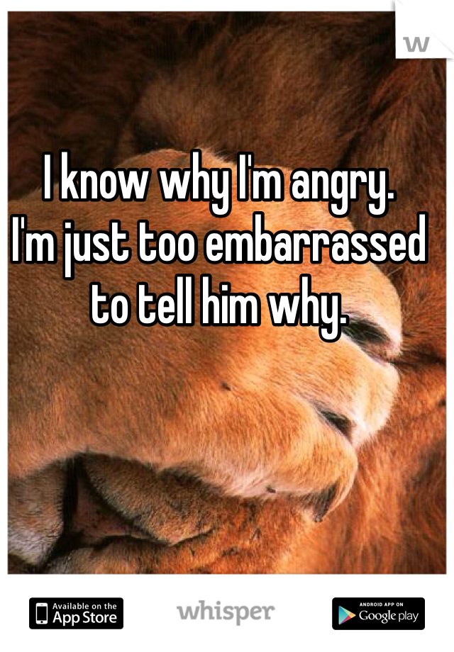 I know why I'm angry.
I'm just too embarrassed to tell him why.
